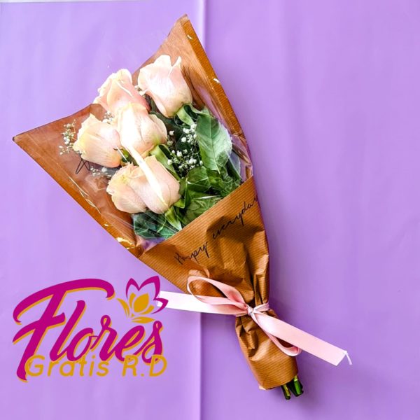 Ramo de Rosas Rosadas RF6